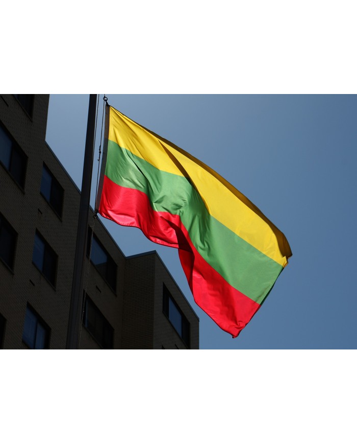 Bandera Lituania exterior Bandera Lituania exterior