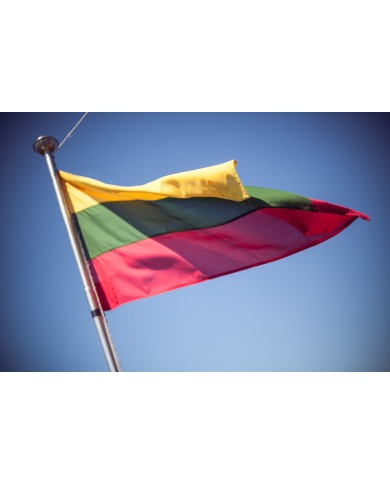 Bandera Lituania exterior Bandera Lituania exterior