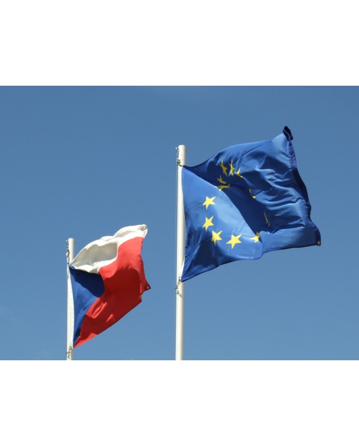 Bandera República Checa exterior