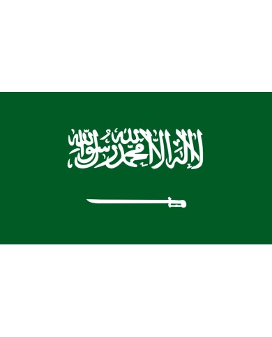 Bandera Arabia Saudi exterior