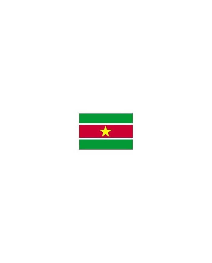Bandera Surinam exterior