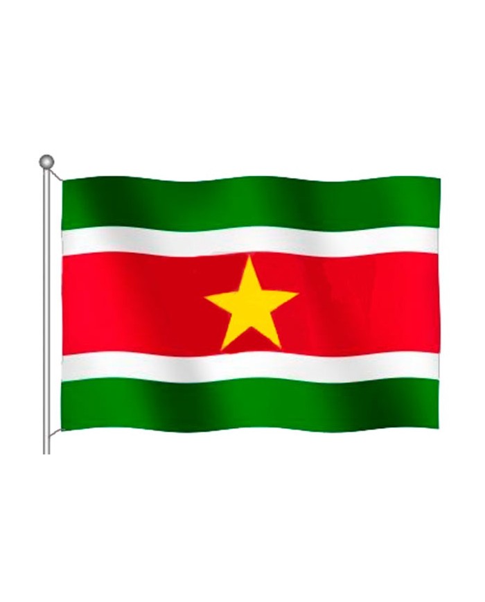 Bandera Surinam exterior