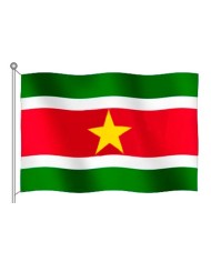 Bandera Surinam exterior