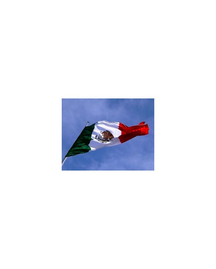 Bandera Mexico exterior