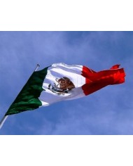 Bandera Mexico exterior
