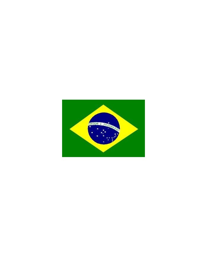Bandera Brasil 10 x 15 cm.