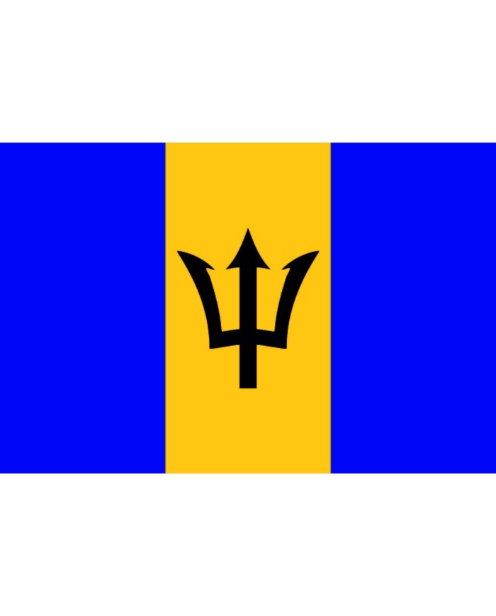 Bandera Barbados 10 x 15 cm.