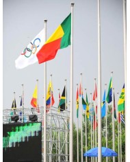 Bandera Benín exterior