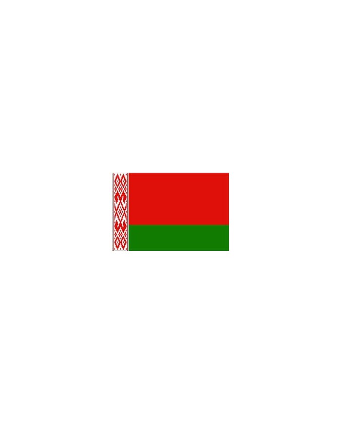 Bandera Bielorrusia 10 x 15 cm. Bandera Bielorrusia 10 x 15 cm.