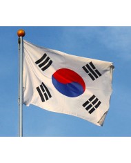 Bandera Corea del sur exterior