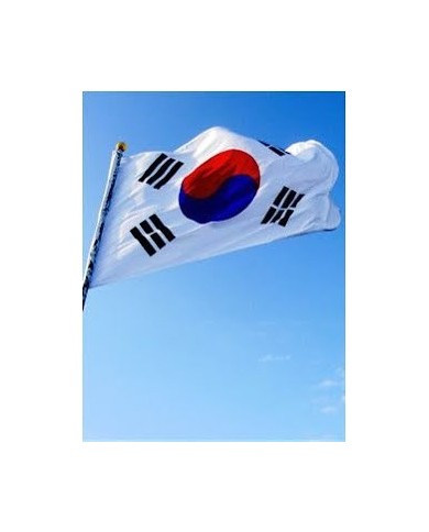Bandera Corea del sur exterior Bandera Corea del sur exterior
