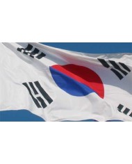 Bandera Corea del sur exterior