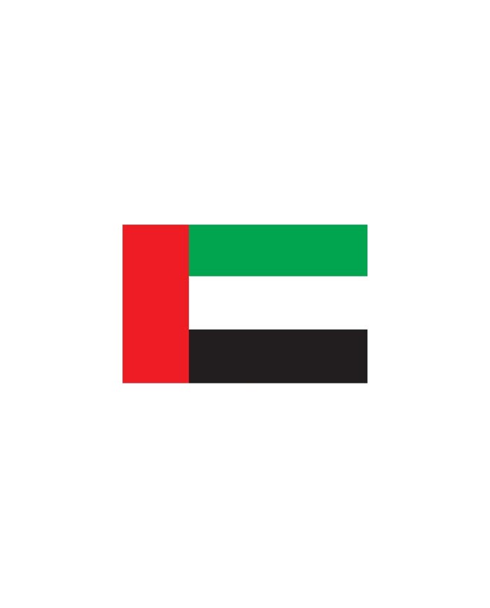 Bandera Emiratos Árabes exterior