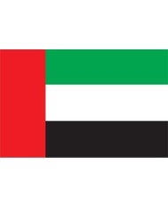 Bandera Emiratos Árabes exterior