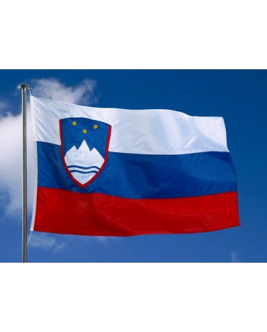 Bandera Eslovaquia exterior