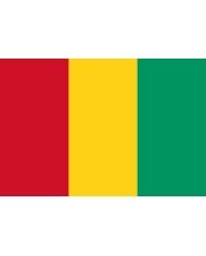 Bandera Guinea exterior