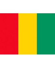 Bandera Guinea exterior