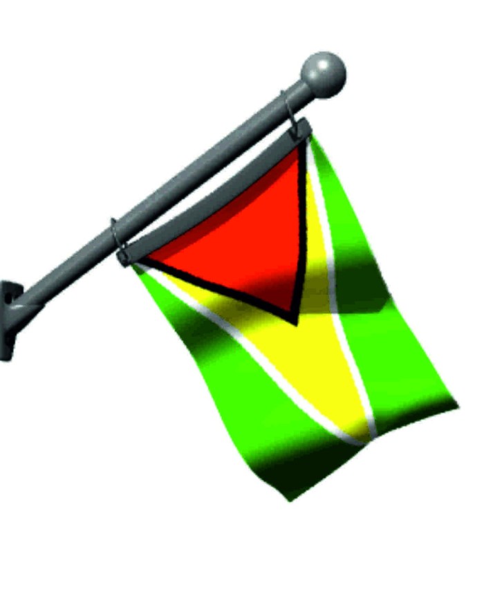Bandera Guyana exterior