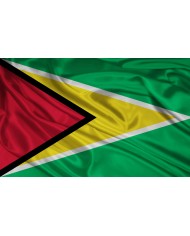 Bandera Guyana exterior