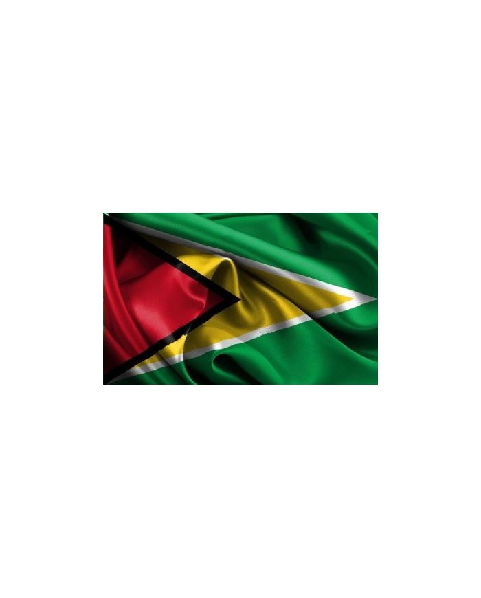 Bandera Guyana exterior