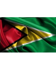 Bandera Guyana exterior