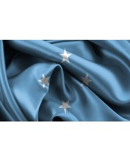Bandera Micronesia exterior Bandera Micronesia exterior