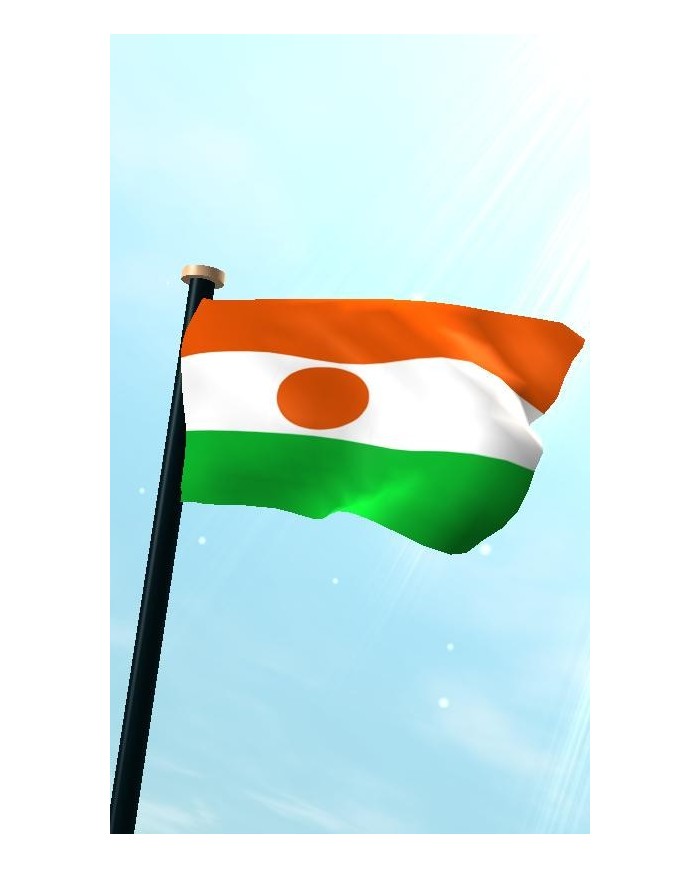 Bandera Níger exterior