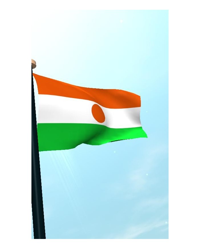 Bandera Níger exterior