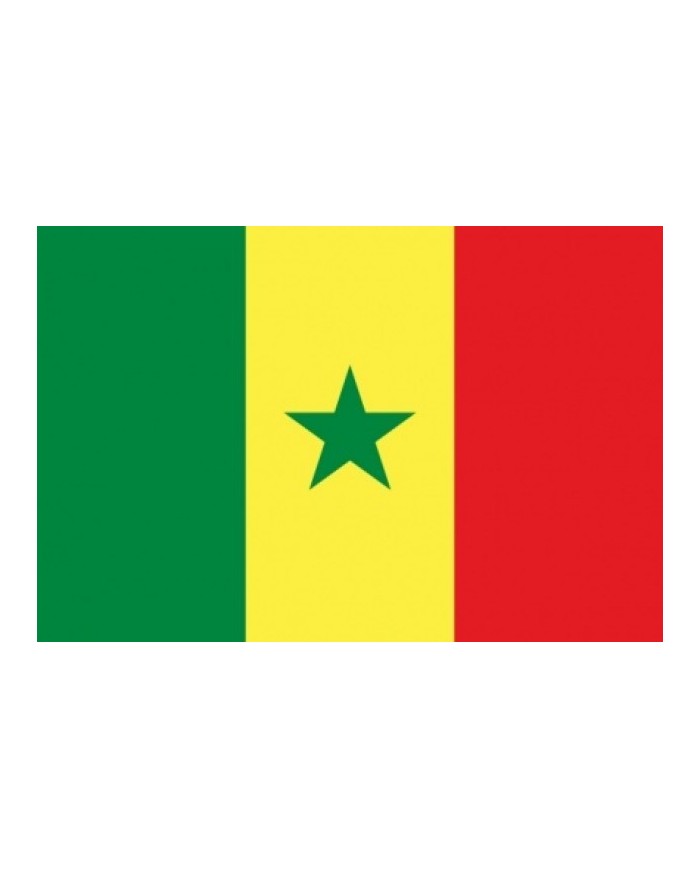 Bandera Senegal exterior Bandera Senegal exterior