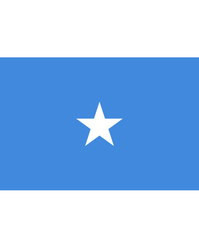 Bandera Somalia 10 x 15 cm. Bandera Somalia 10 x 15 cm.