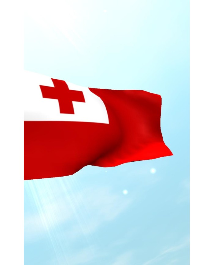 Bandera Tonga exterior