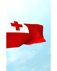 Bandera Tonga exterior