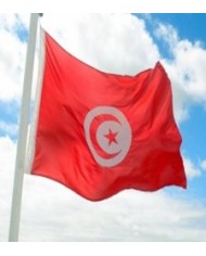 Bandera Túnez exterior
