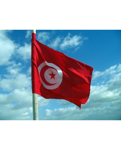 Bandera Túnez exterior Bandera Túnez exterior