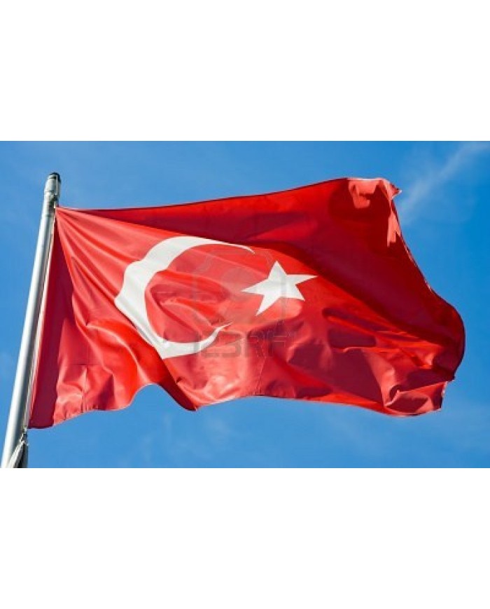 Bandera Túnez exterior