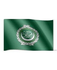 BANDERA LIGA ARABE BANDERA LIGA ARABE