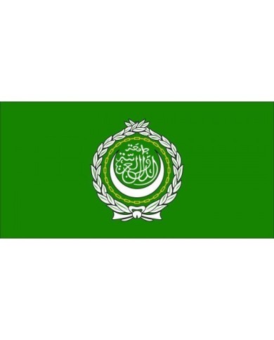 BANDERA LIGA ARABE BANDERA LIGA ARABE