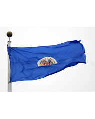 Bandera OEA ( Organización estados americanos ) Bandera OEA ( Organización estados americanos )