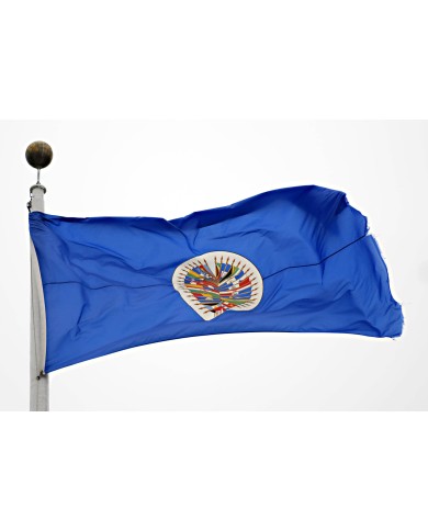 Bandera OEA ( Organización estados americanos )
