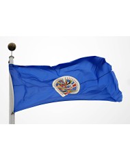 Bandera OEA ( Organización estados americanos ) Bandera OEA ( Organización estados americanos )