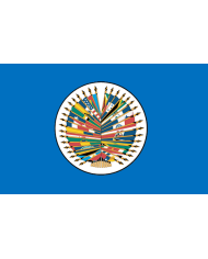 Bandera OEA ( Organización estados americanos ) Bandera OEA ( Organización estados americanos )