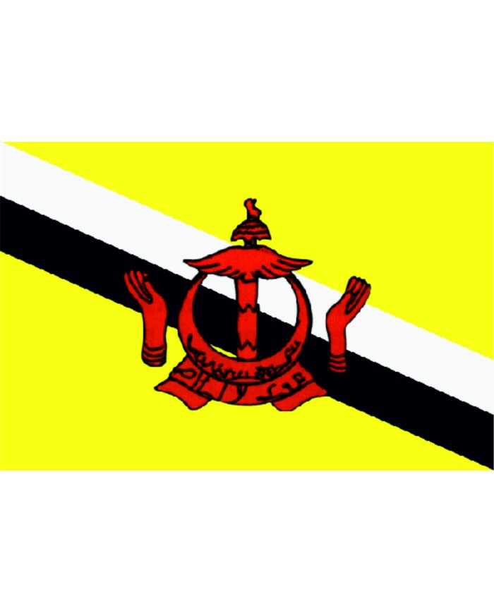 Bandera Brunei exterior Bandera Brunei exterior