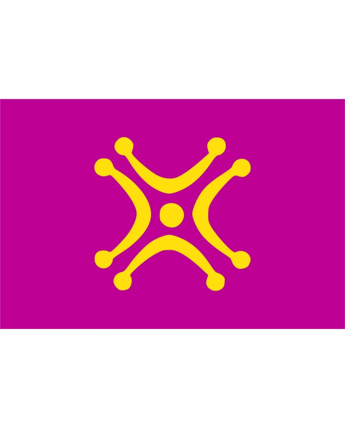 Bandera Labaro Cantabro Bandera Labaro Cantabro