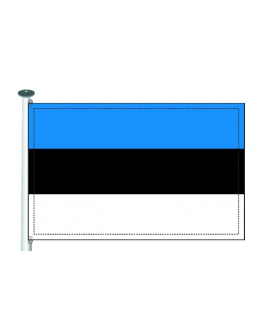 Bandera Estonia exterior Bandera Estonia exterior