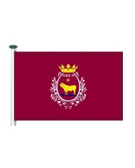 Bandera Teruel Bandera Teruel