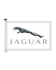 Bandera Jaguar