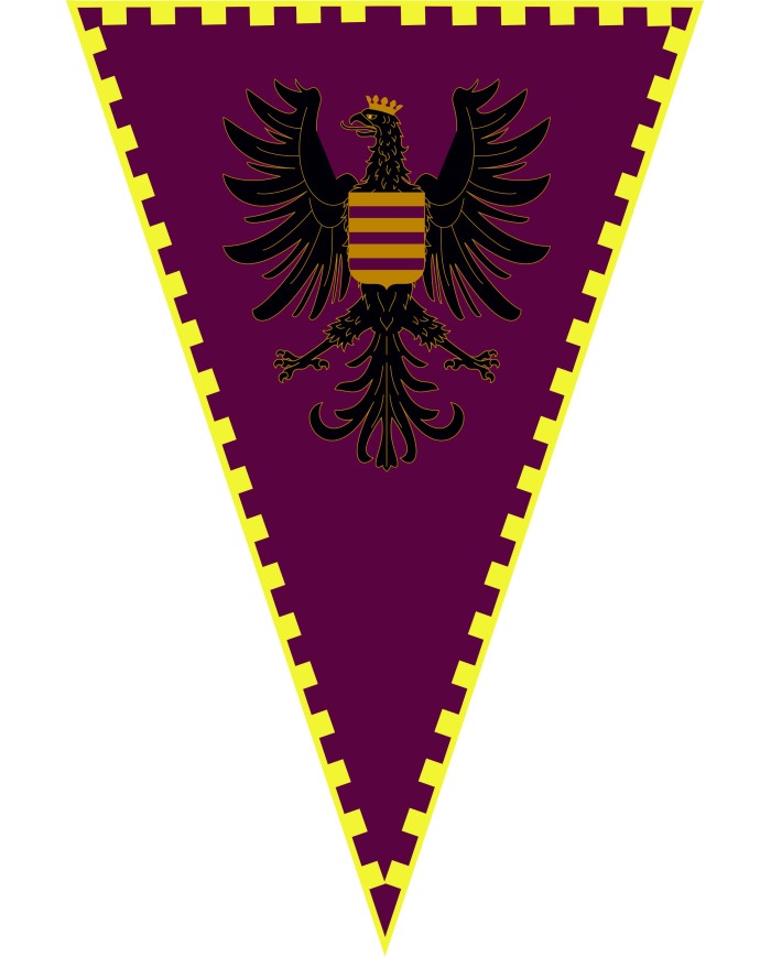 Bandera Medieval modelo 66