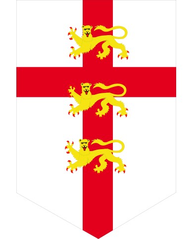 Bandera Medieval modelo 63