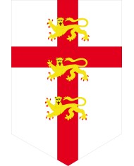 Bandera Medieval modelo 63