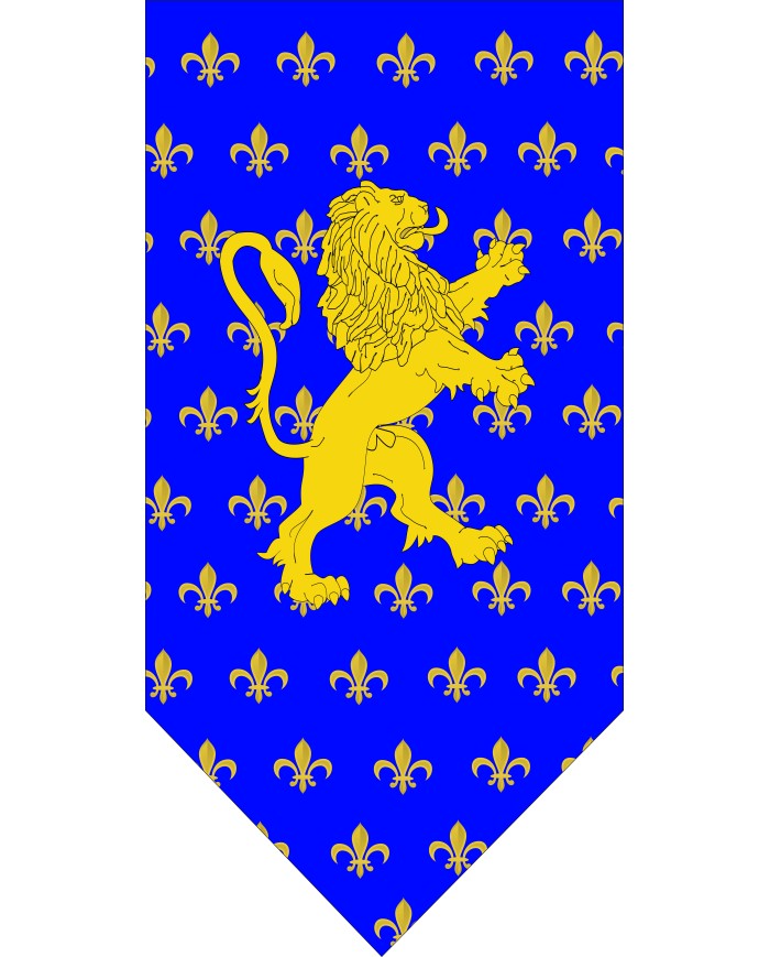 Bandera Medieval modelo 64